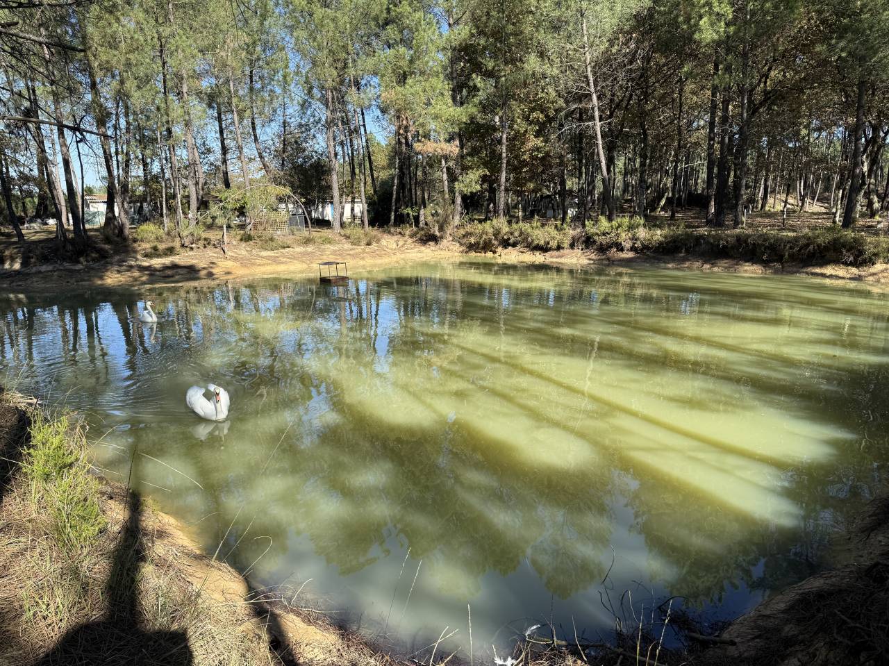Ander plattelands vastgoed Koop Gironde
