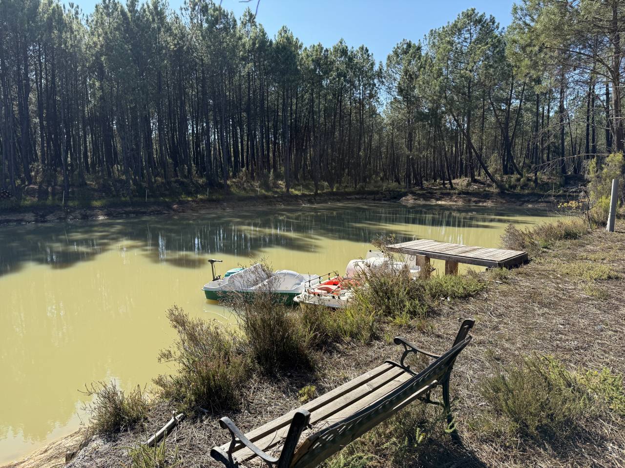 Ander plattelands vastgoed Koop Gironde