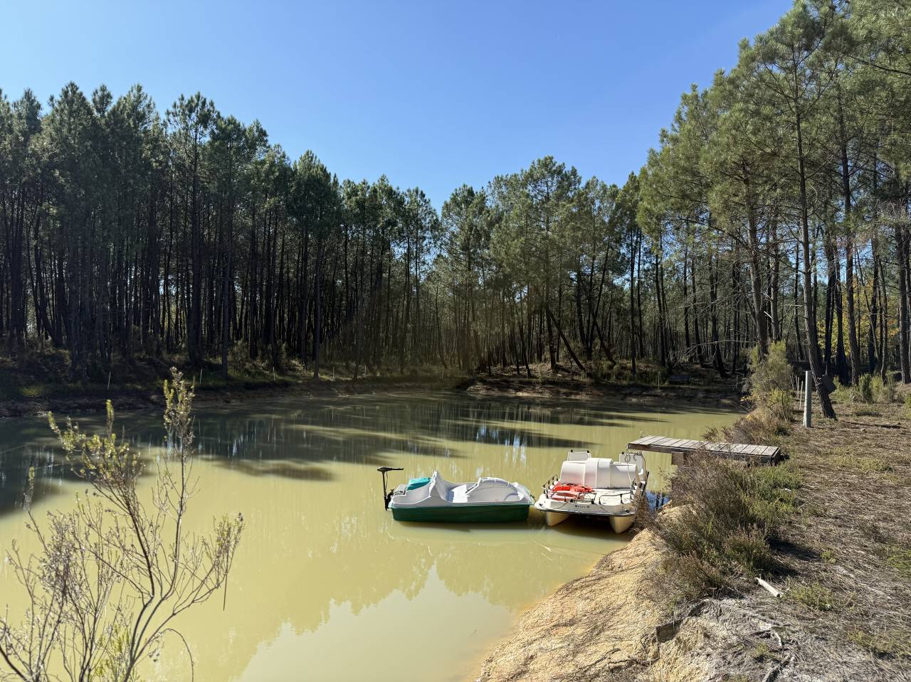 Ander plattelands vastgoed Koop Gironde