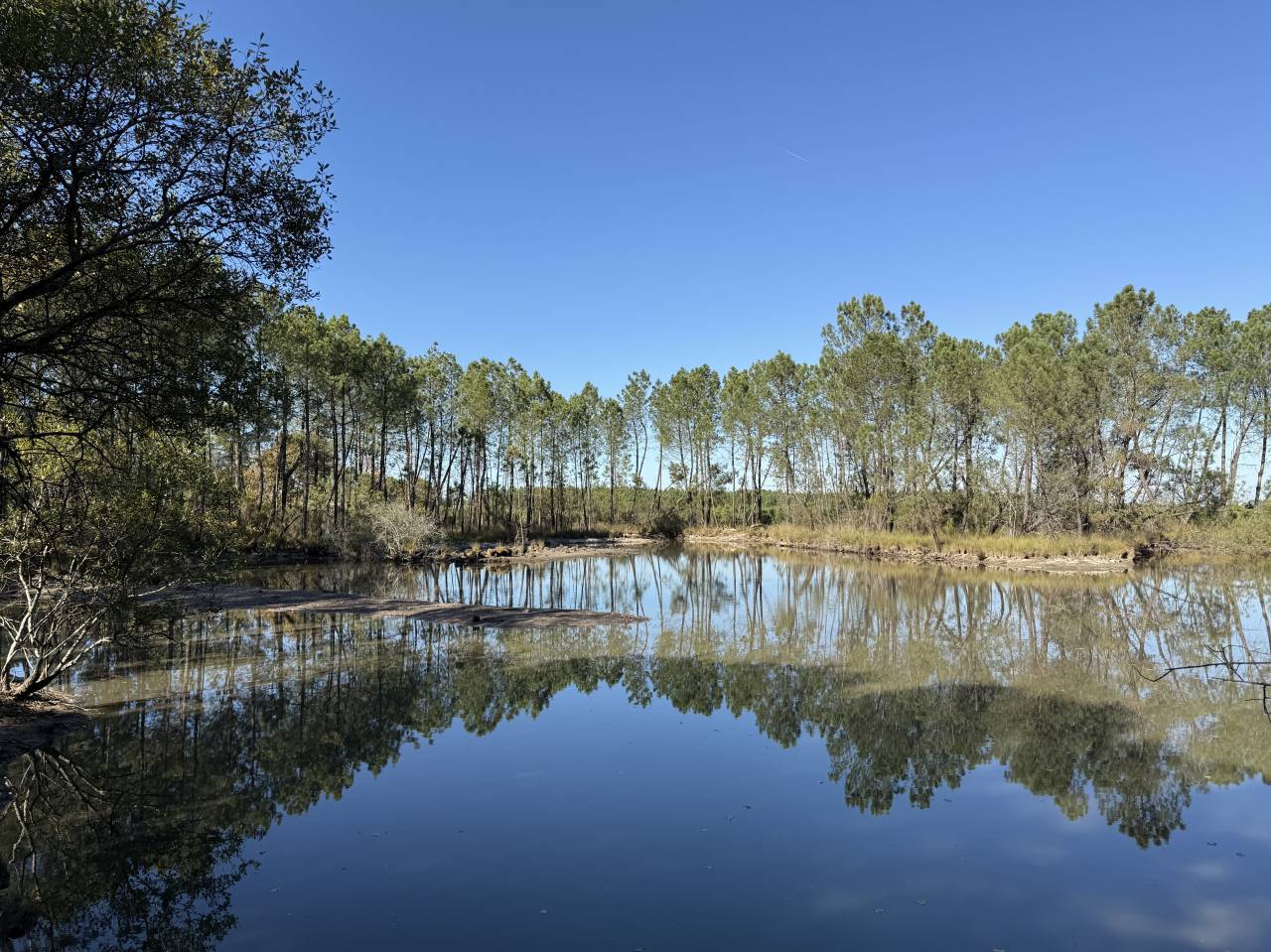 Ander plattelands vastgoed Koop Gironde