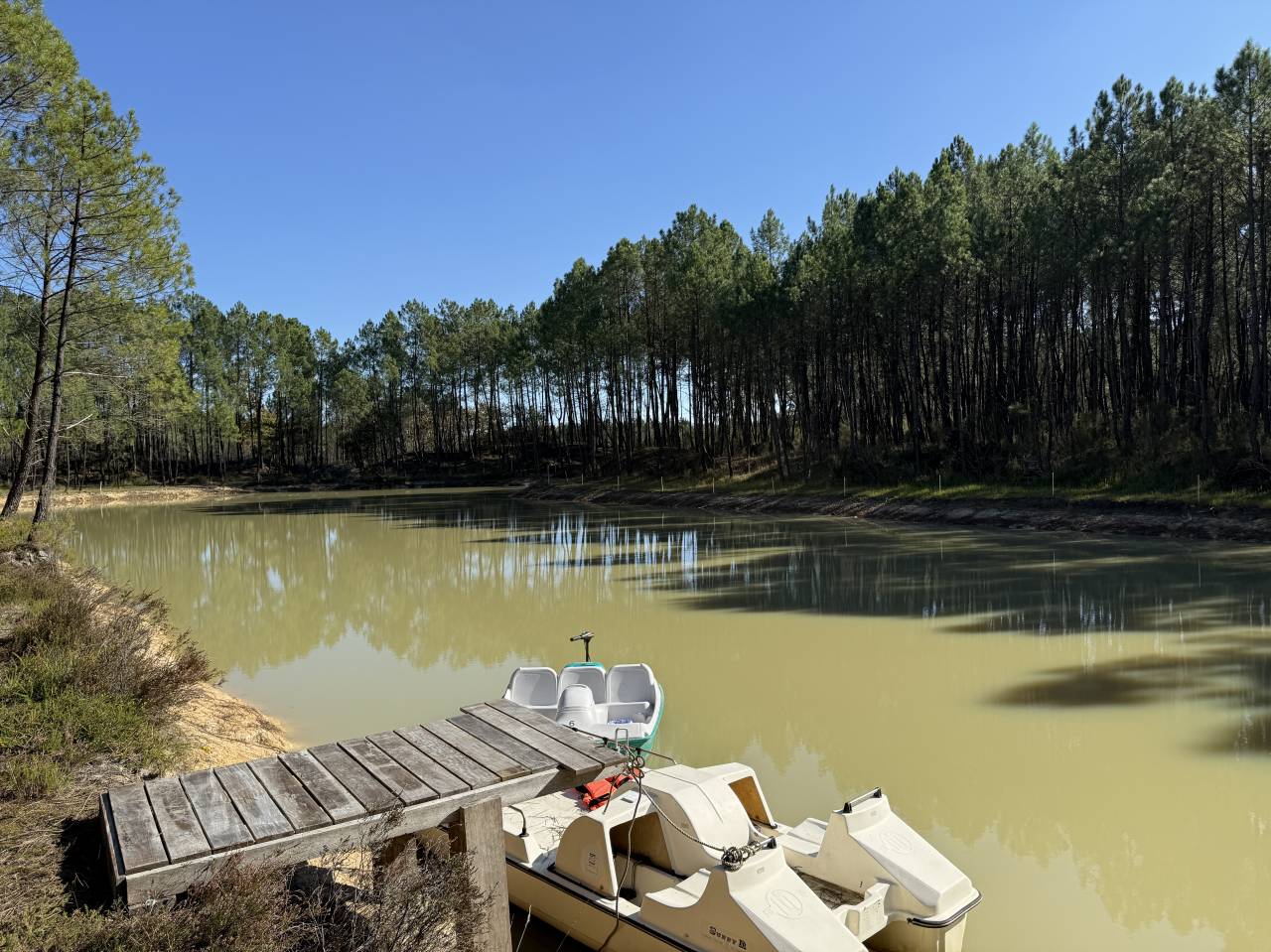 Ander plattelands vastgoed Koop Gironde