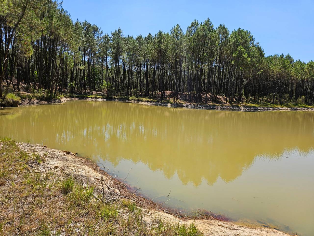 Ander plattelands vastgoed Koop Gironde