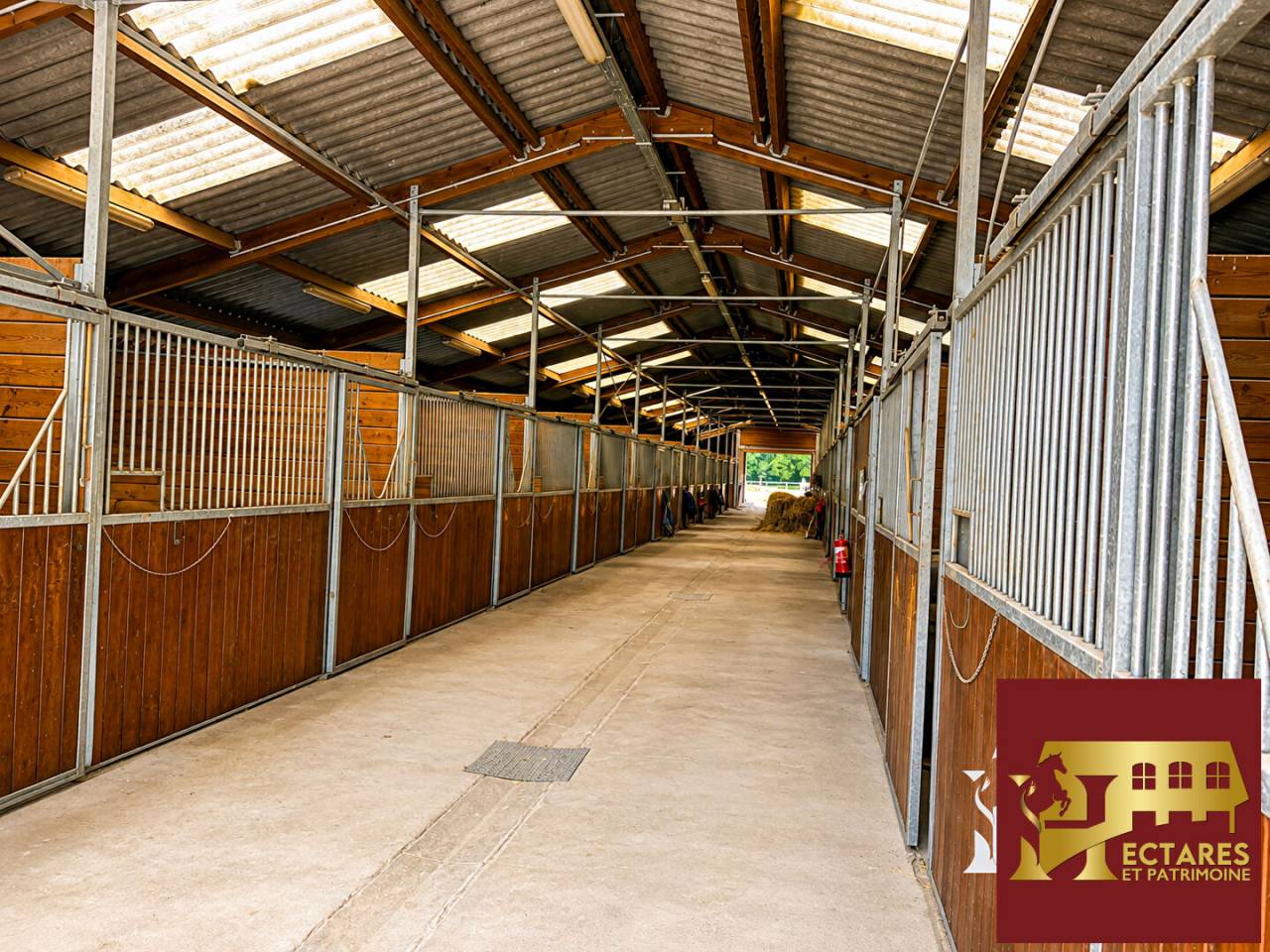 Paarden accommodatie Koop Maine-et-Loire