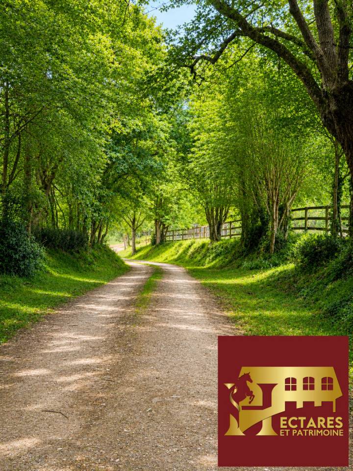 Paarden accommodatie Koop Maine-et-Loire