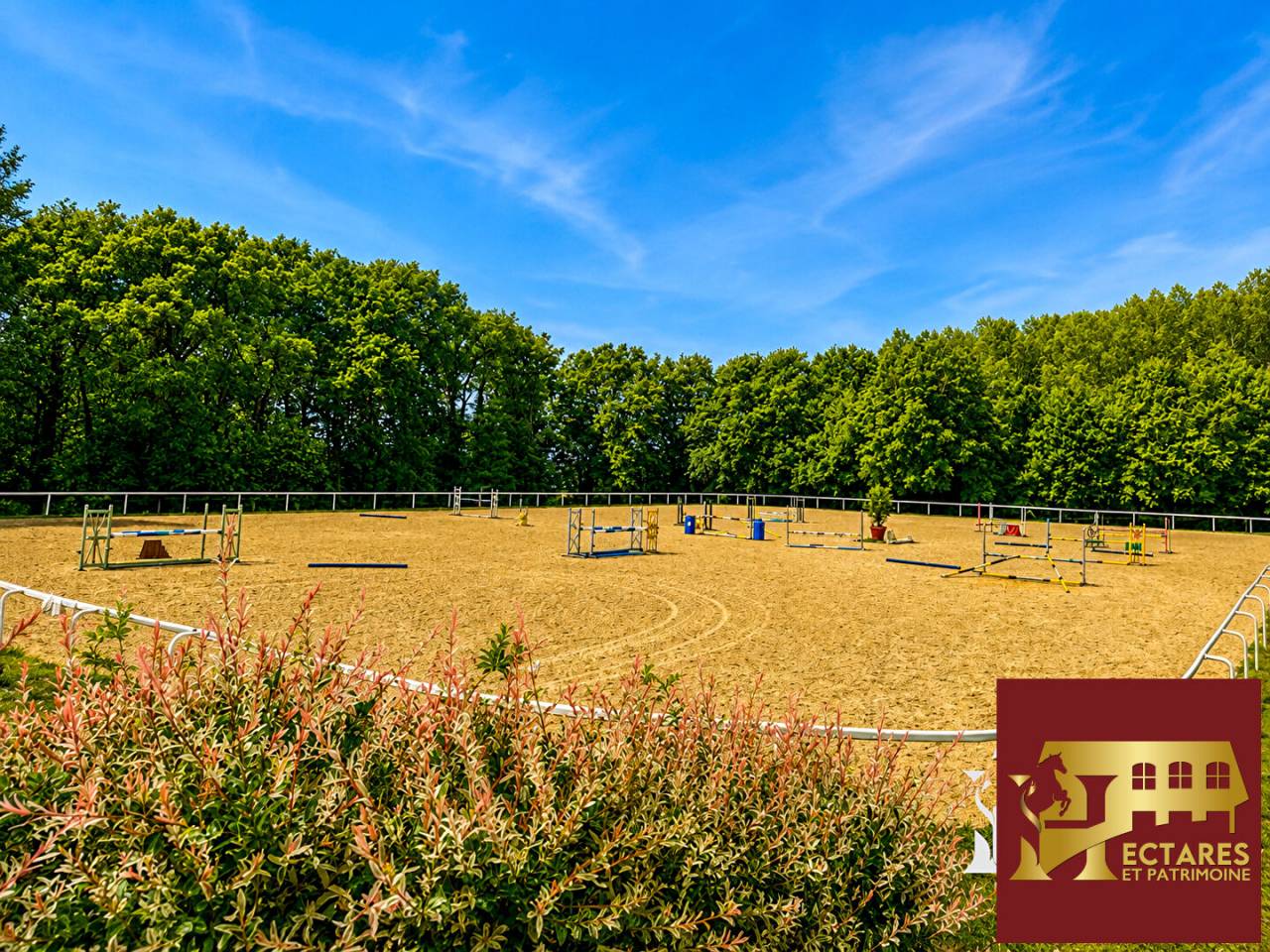 Paarden accommodatie Koop Maine-et-Loire