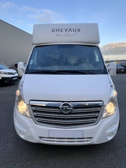 Kleine paardenvrachtwagen (B rijbewijs) Opel OPEL MOVANO RUCEL 2011 Tweedehands