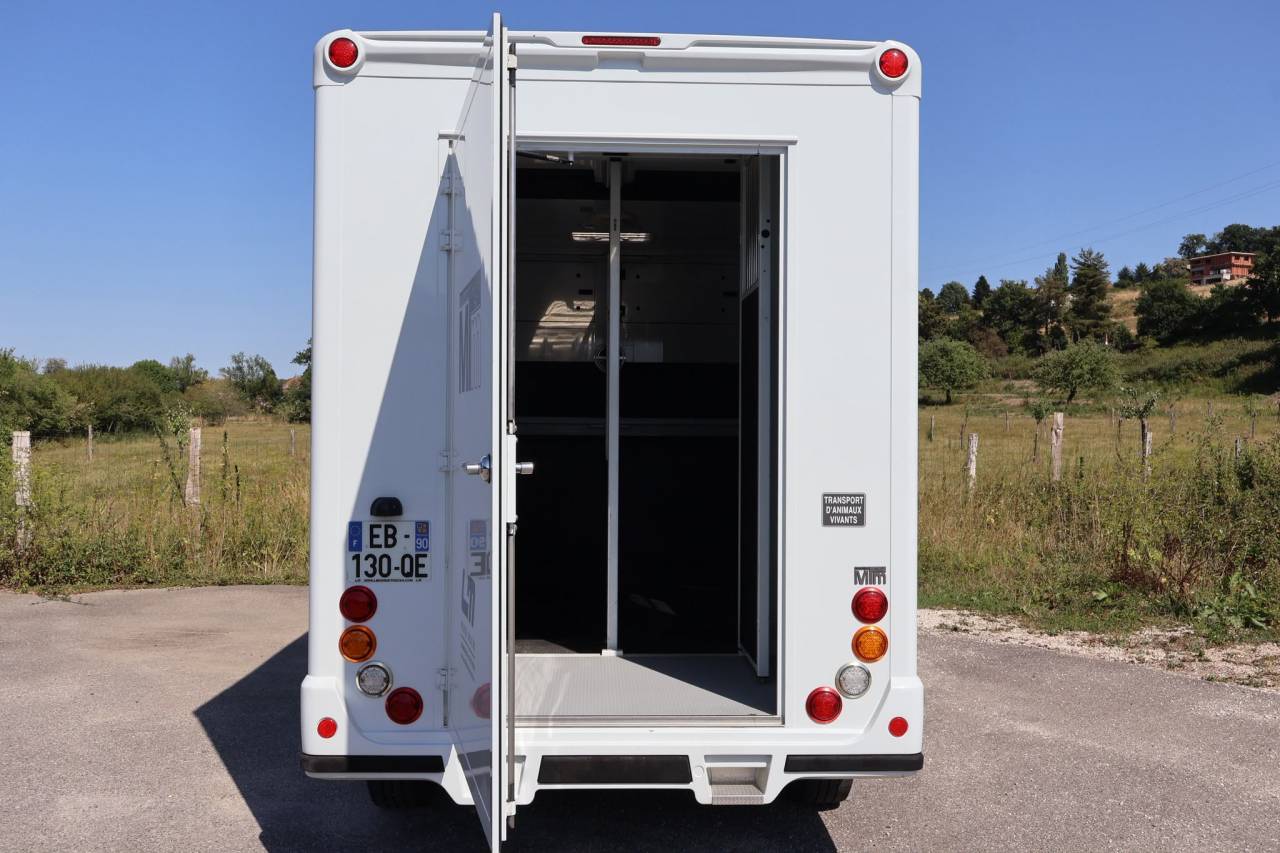 Kleine paardenvrachtwagen (B rijbewijs) MTM MTM 2016 Tweedehands