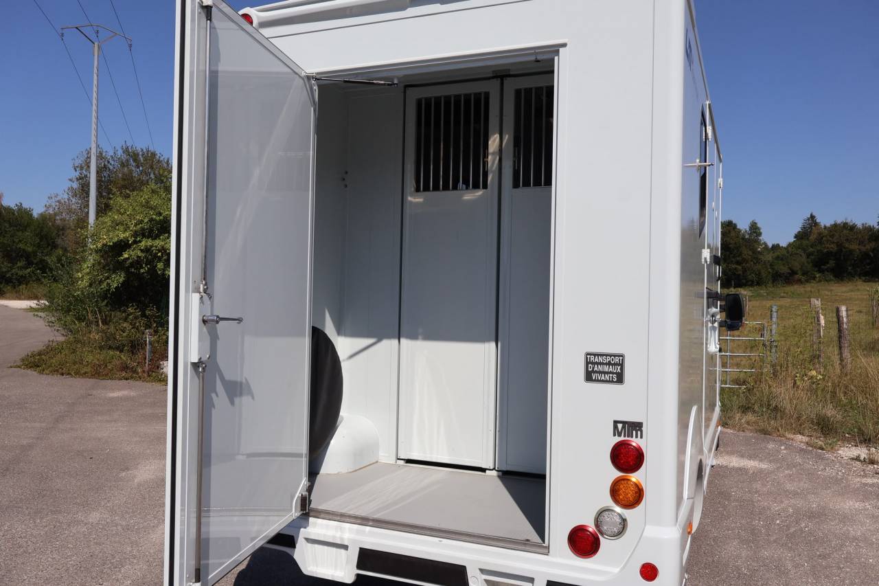 Kleine paardenvrachtwagen (B rijbewijs) MTM MTM 2016 Tweedehands