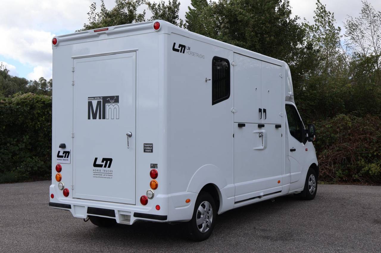 Kleine paardenvrachtwagen (B rijbewijs) MTM MTM 2016 Tweedehands