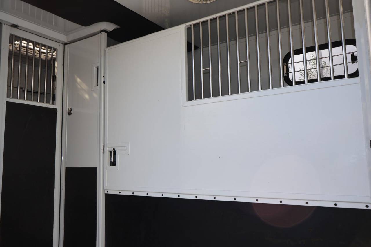 Kleine paardenvrachtwagen (B rijbewijs) MTM MTM 2016 Tweedehands