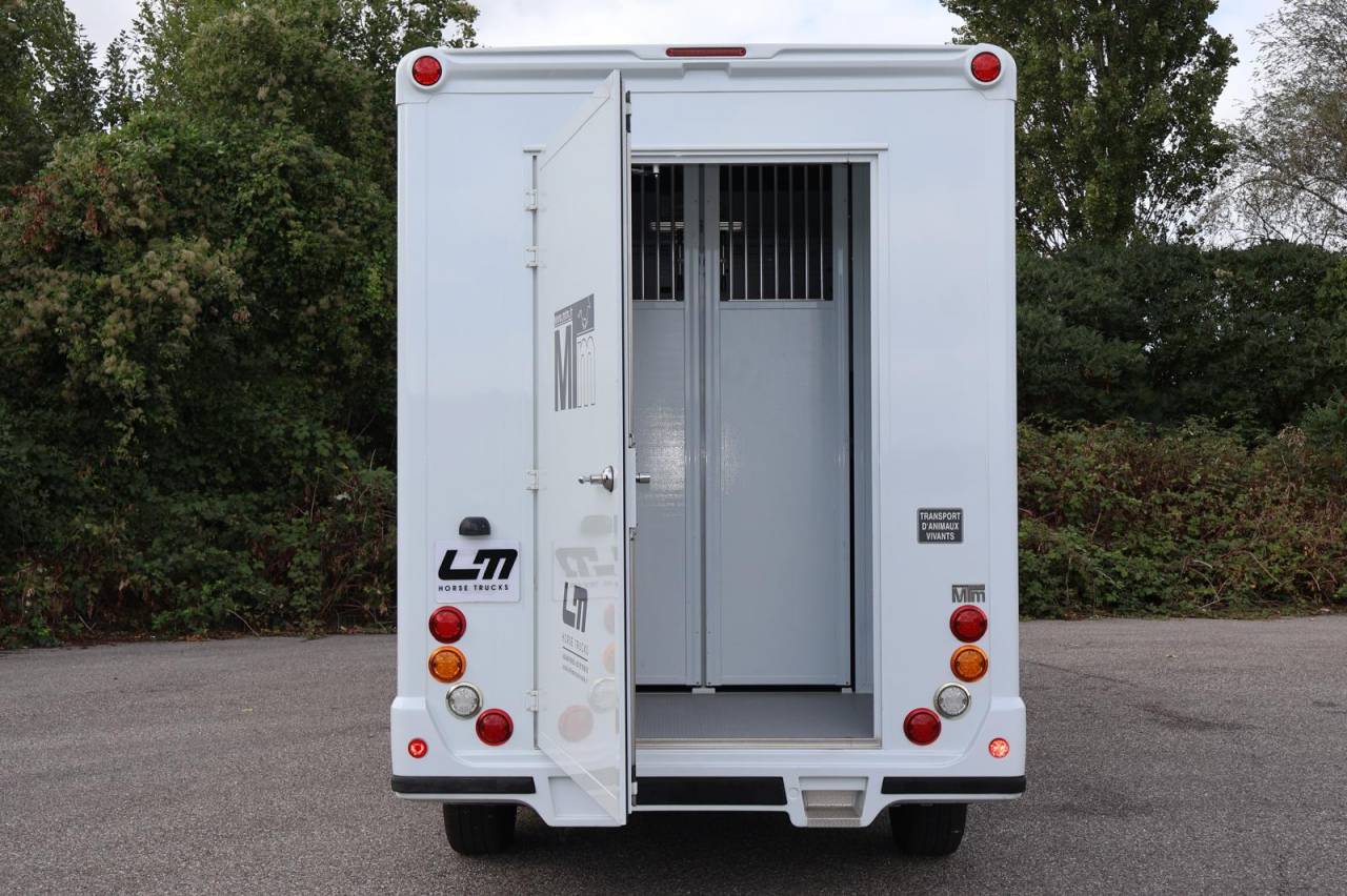 Kleine paardenvrachtwagen (B rijbewijs) MTM MTM 2016 Tweedehands