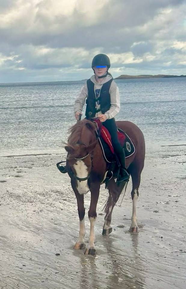 Merrie Franse rijpony PFS Te koop 2017 Vos ,  POPSTAR DES NOUETTES