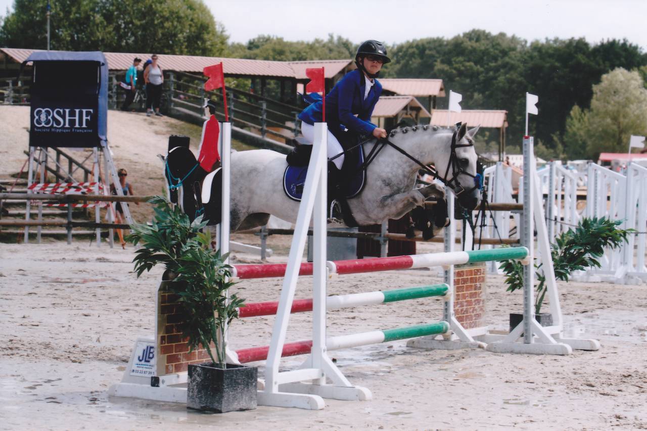 Draagmerrie Welsh Pony (Section B) Te koop 2006 Schimmel ,  Hercule d'audes
