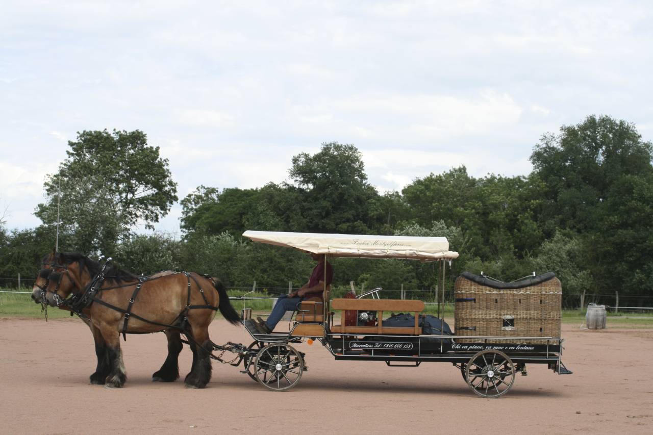 Rijtuigen - Cal&egrave;che - Ander merk - CAMPAGNE 160 HANDY 