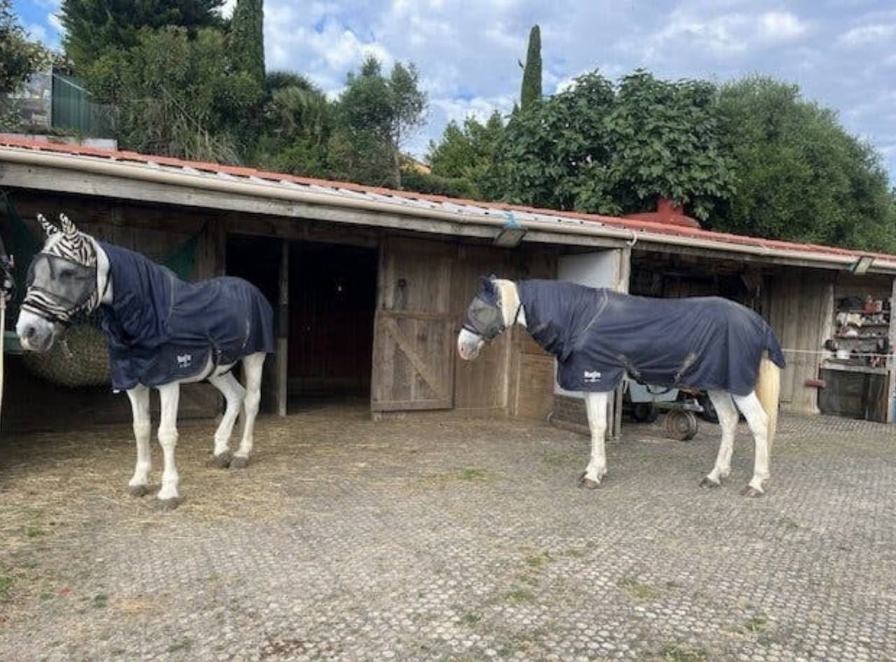 Mooi hippisch vastgoed Koop Aude