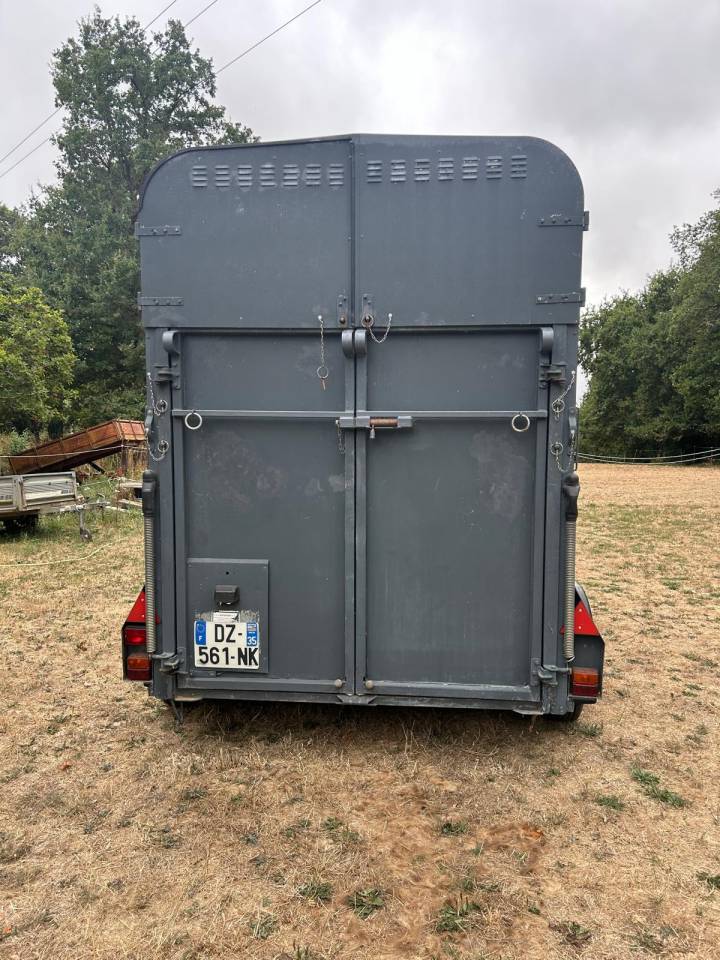 Paardentrailers Ifor Williams HB505R 2 Paarden 1996 Tweedehands