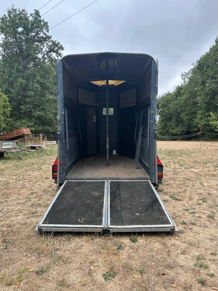 Paardentrailers Ifor Williams HB505R 2 Paarden 1996 Tweedehands