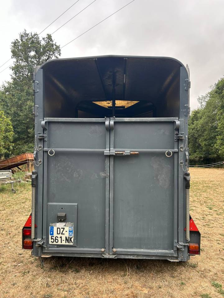 Paardentrailers Ifor Williams HB505R 2 Paarden 1996 Tweedehands
