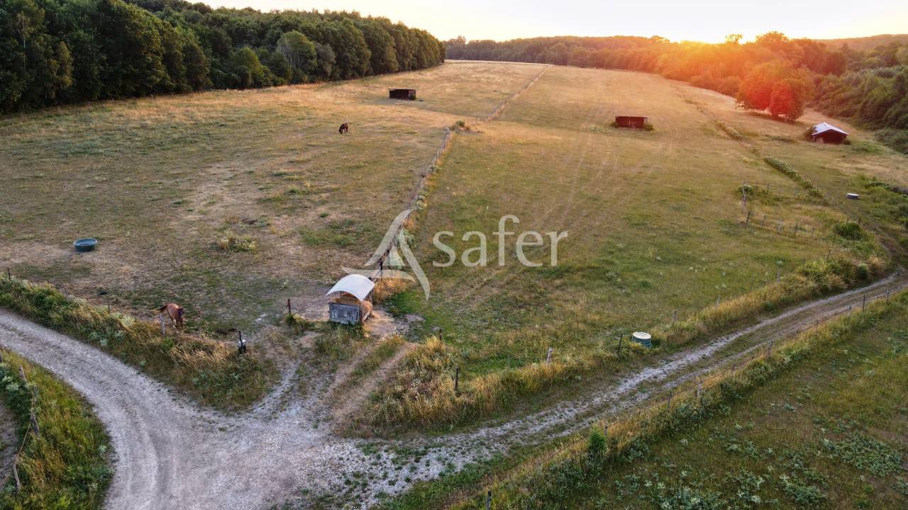 Landbouw bedrijf Koop Seine-et-Marne
