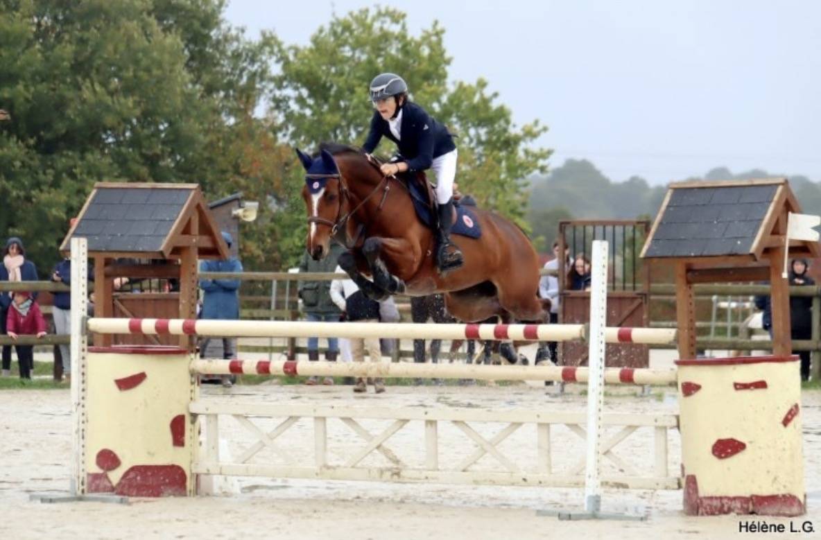Merrie Franse rijpony PFS Te leen 2009 Donker bruin / bai