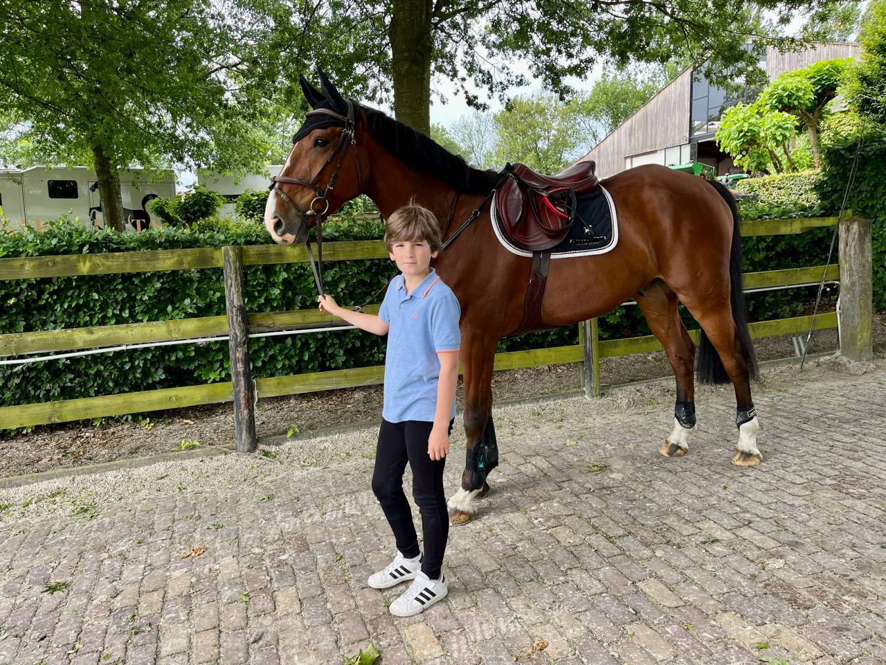 Springpaard  For Pleasure x Nummero Uno