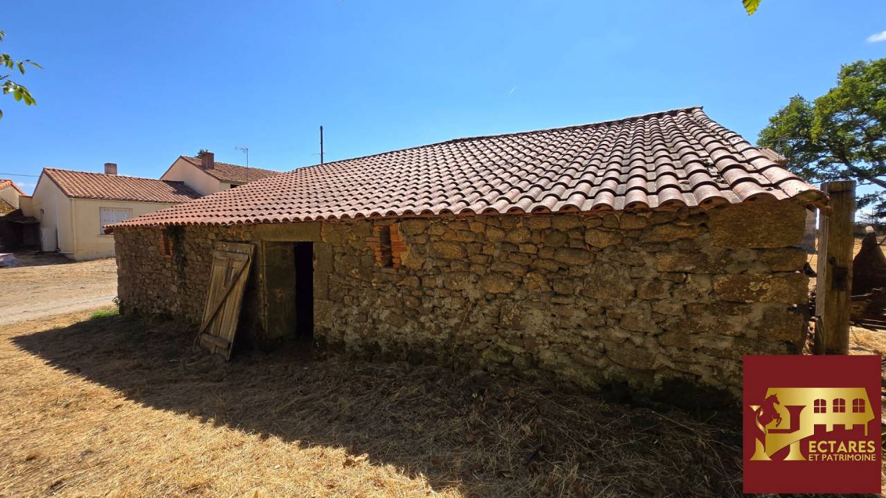 Hippisch vastgoed Koop Vend&eacute;e