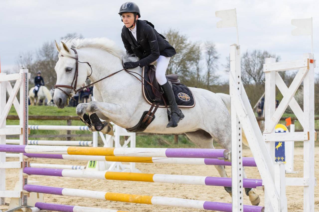Merrie New Forest Te koop 2012 Wit
