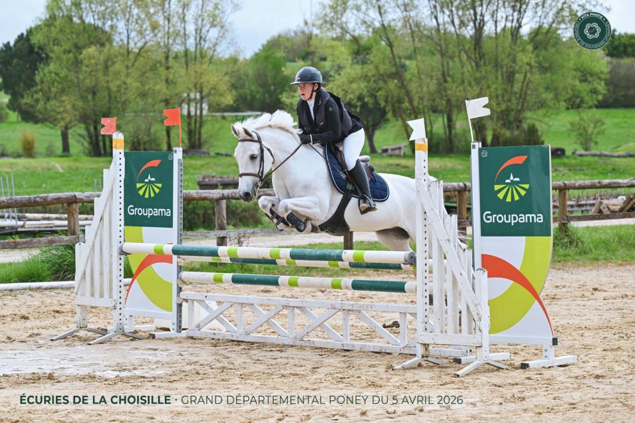 Merrie New Forest Te koop 2012 Wit