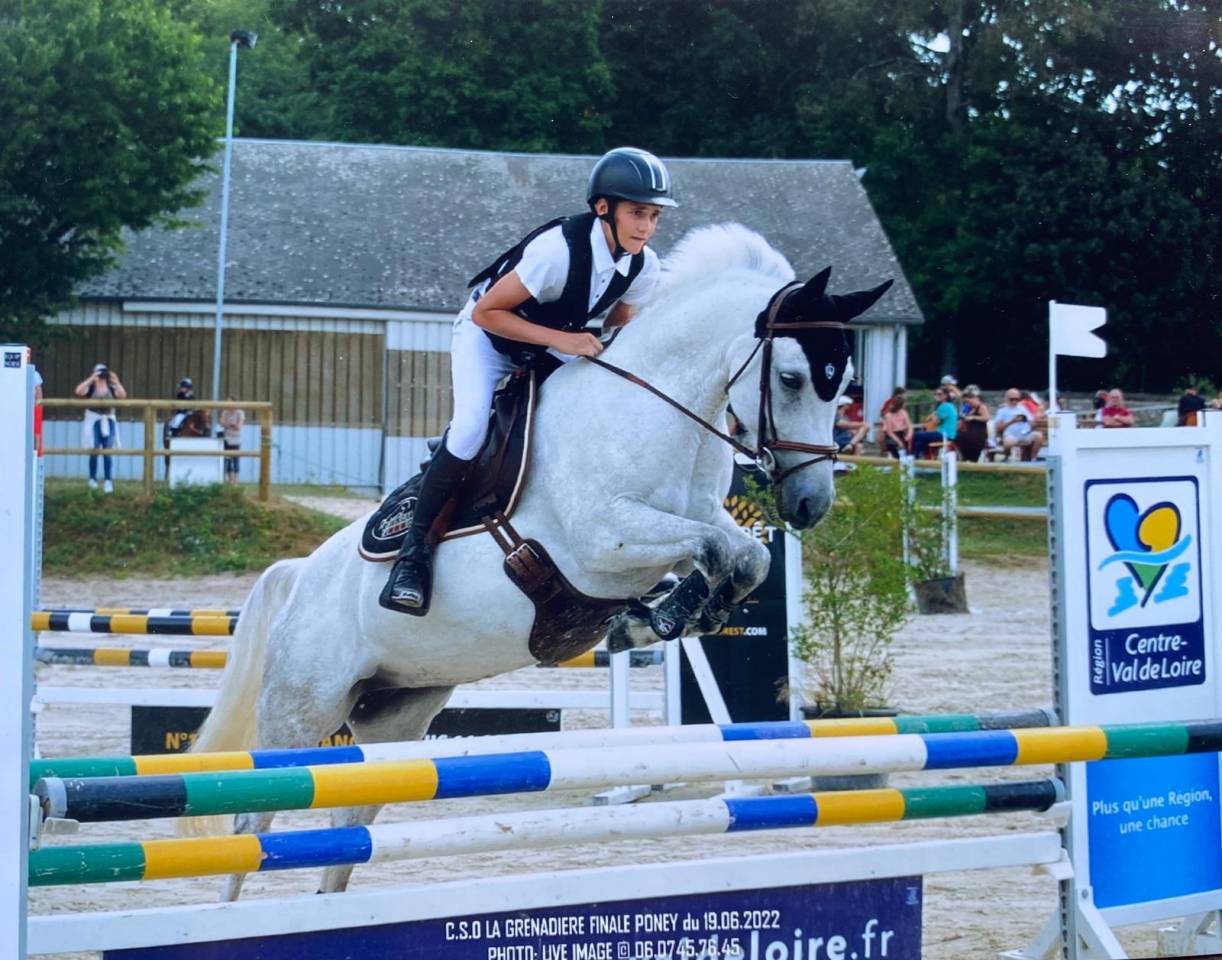 Merrie New Forest Te koop 2012 Wit