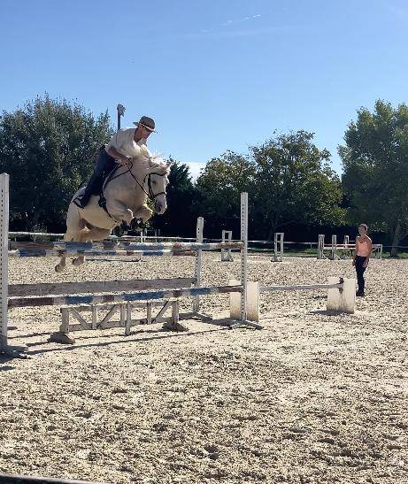 Ruin Franse rijpony PFS Te koop 2017 Palomino