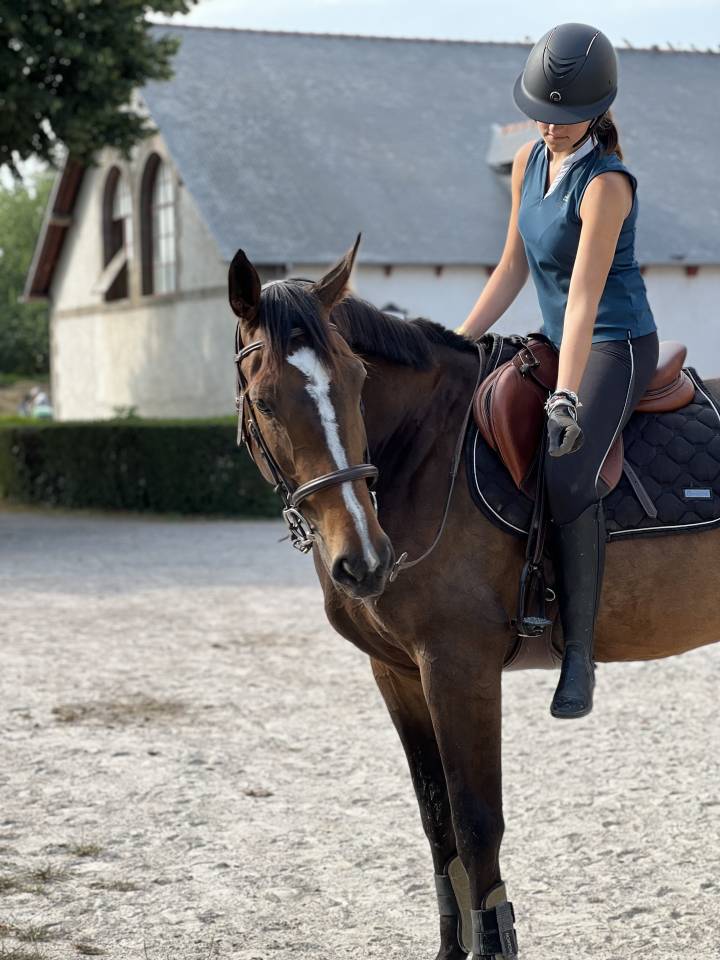 Merrie Selle Fran&ccedil;ais Te koop 2016 Donker bruin / bai ,  EPSOM GESMERAY