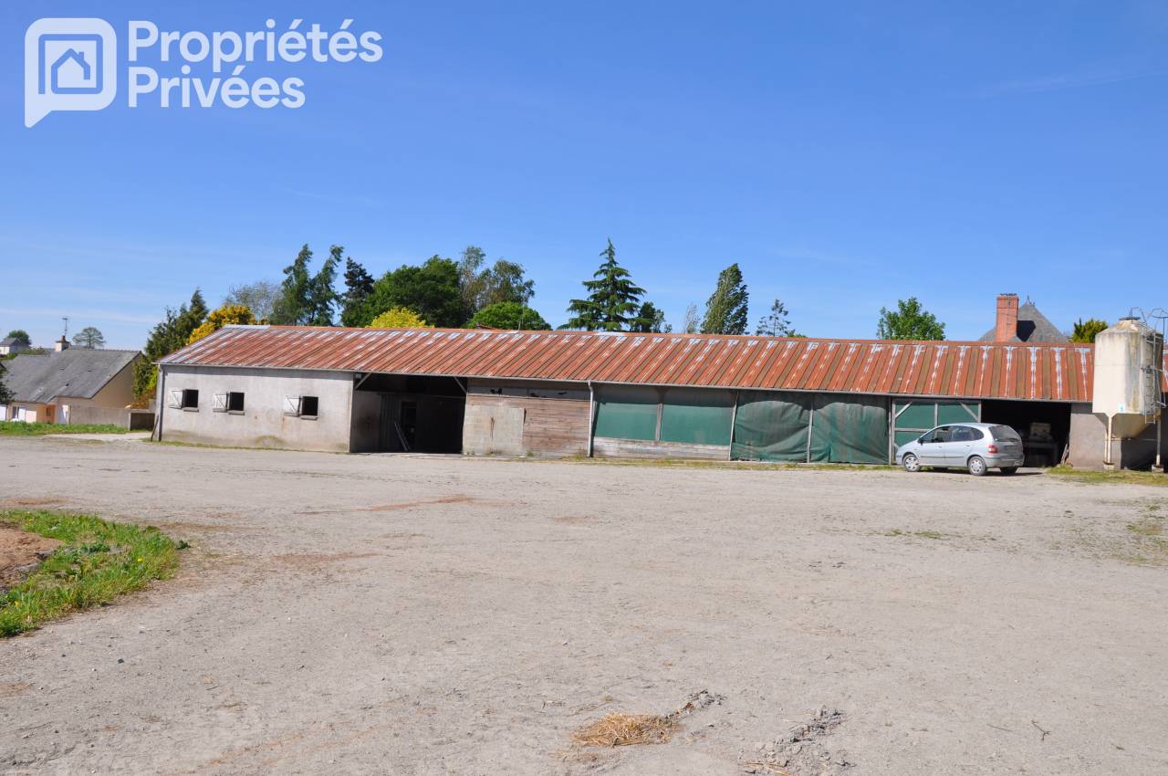 Ruiterclub Koop Mayenne