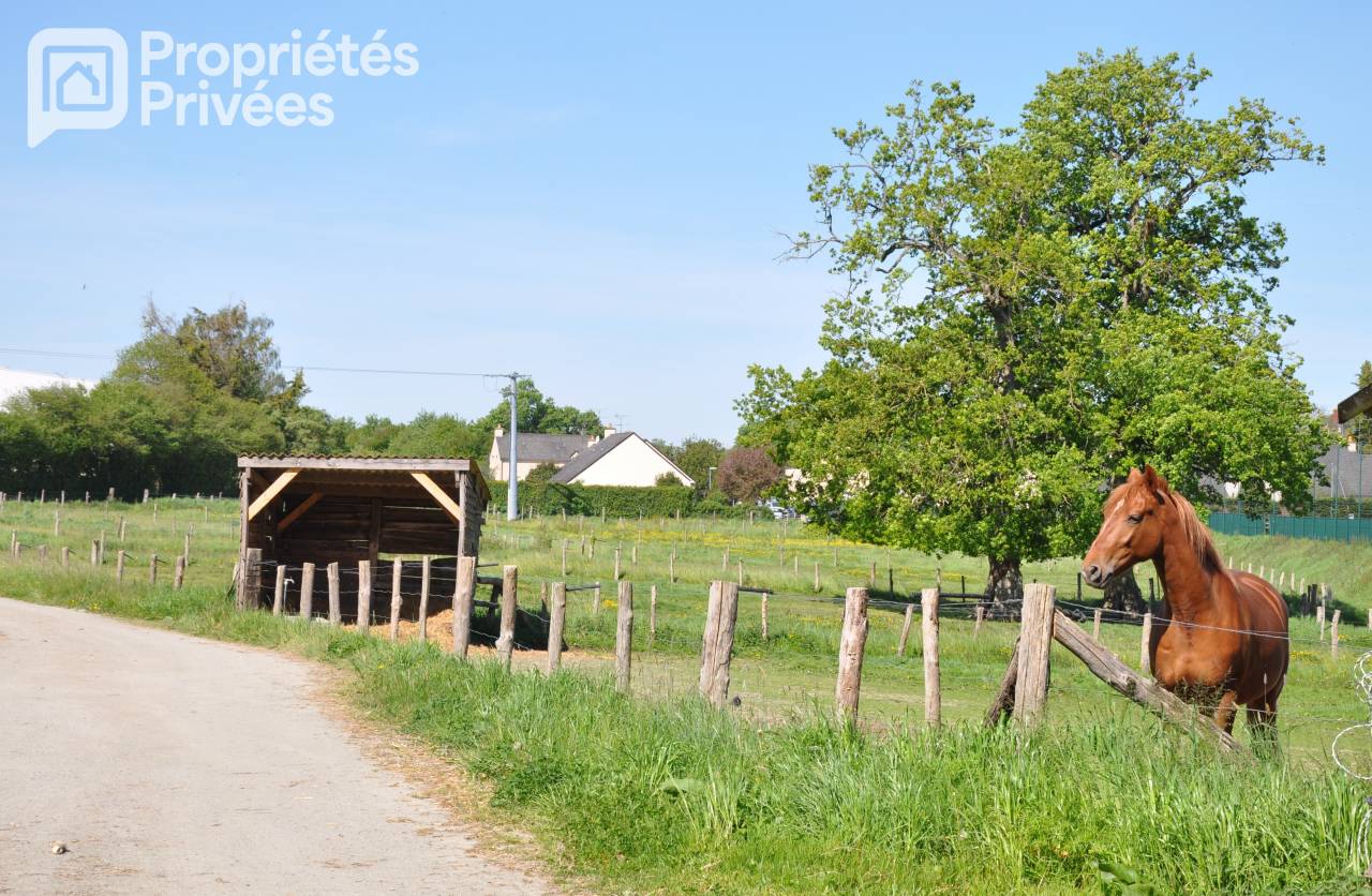 Ruiterclub Koop Mayenne