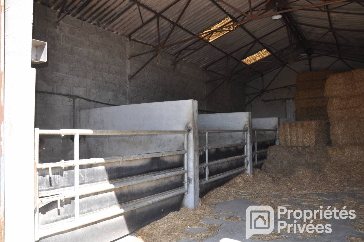 Ruiterclub Koop Mayenne