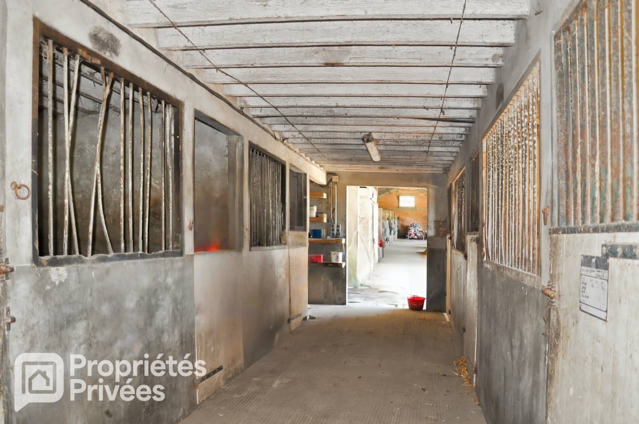 Ruiterclub Koop Mayenne