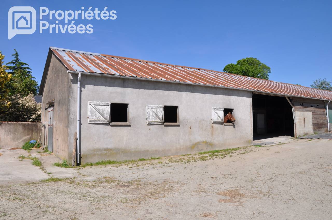 Ruiterclub Koop Mayenne