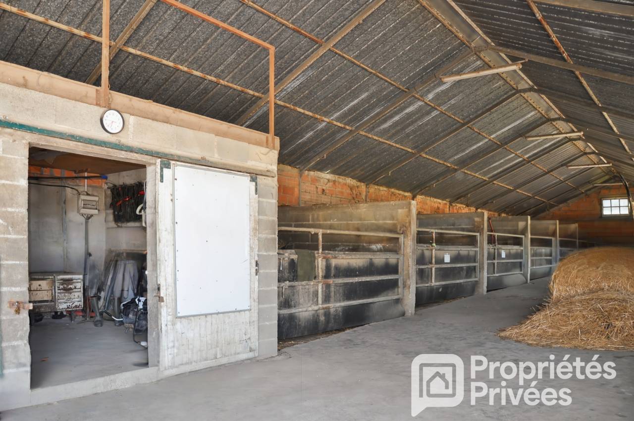 Ruiterclub Koop Mayenne