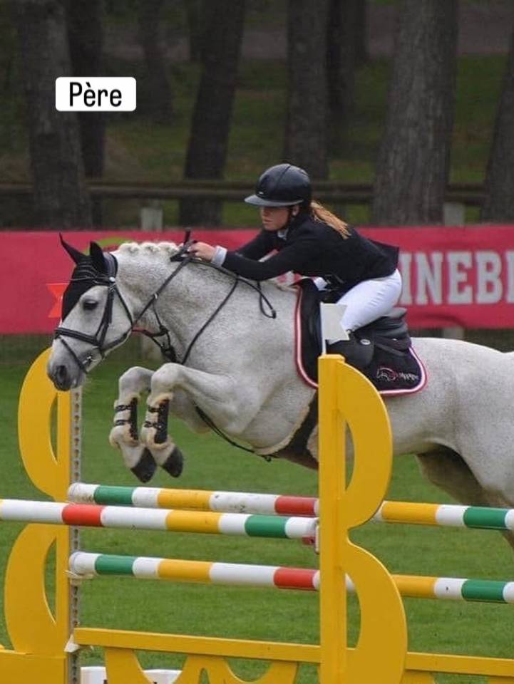 Merrie Connemara Te koop 2023 Schimmel