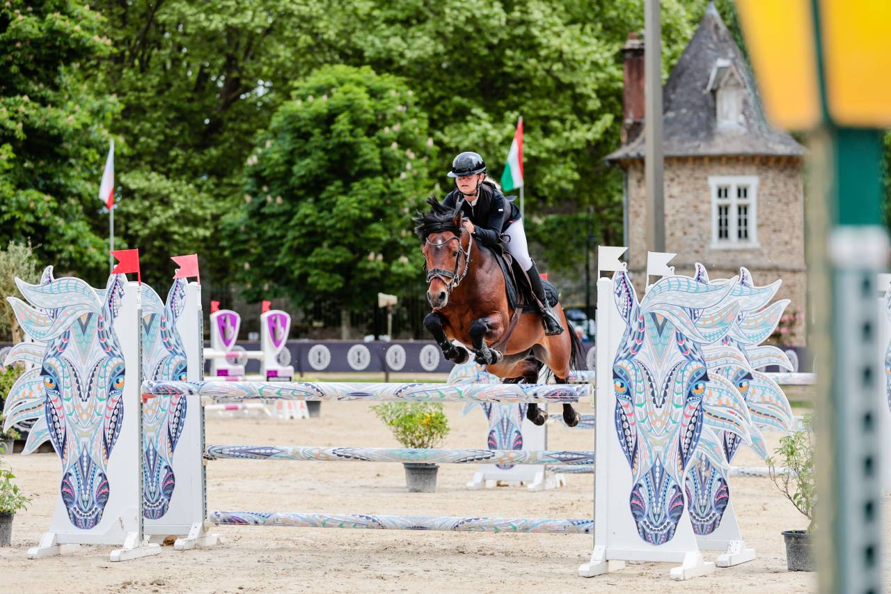 Dekhengst Franse rijpony PFS Te koop 2019 Bruin / Bai ,  RASMUS SL