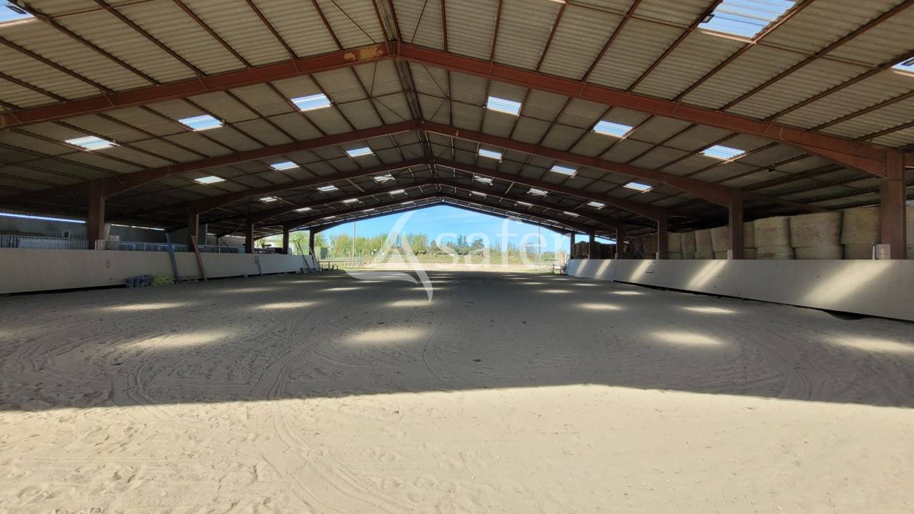 Hippisch vastgoed Koop tarn