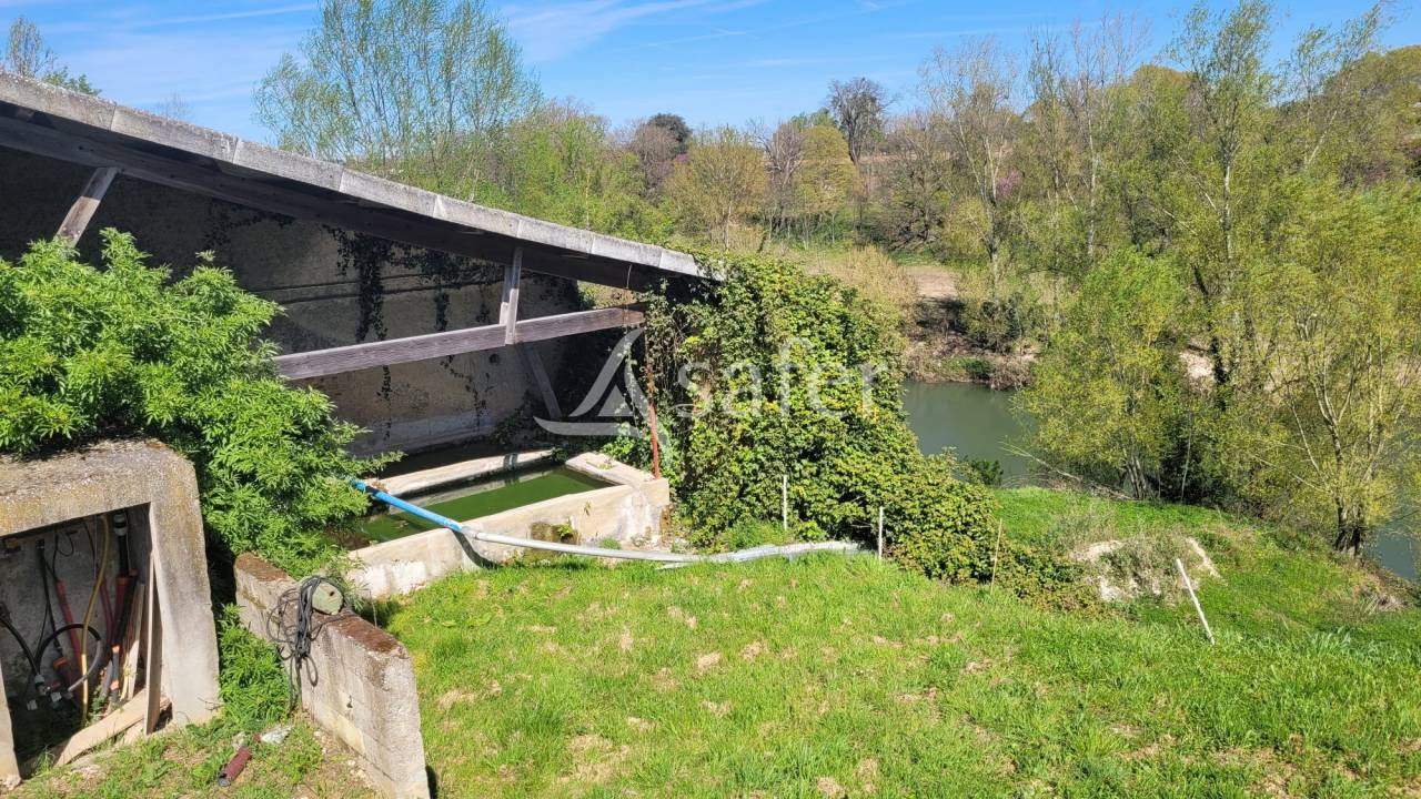 Hippisch vastgoed Koop tarn