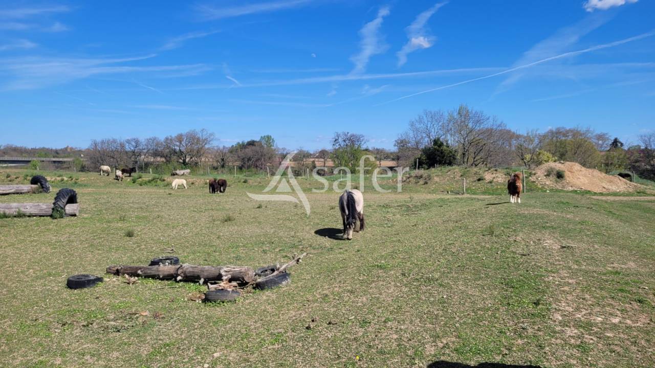 Hippisch vastgoed Koop tarn