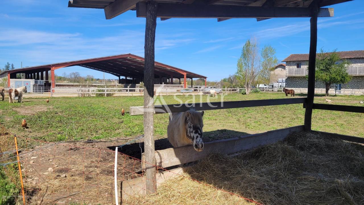 Hippisch vastgoed Koop tarn