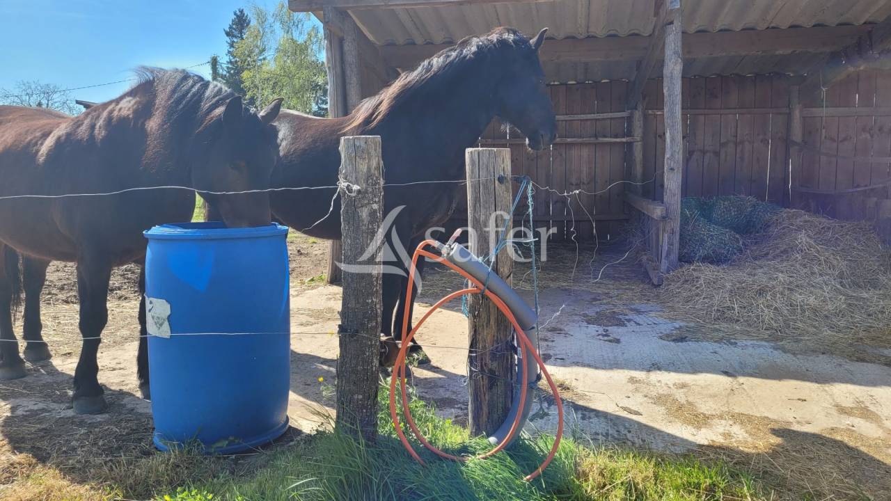 Hippisch vastgoed Koop tarn