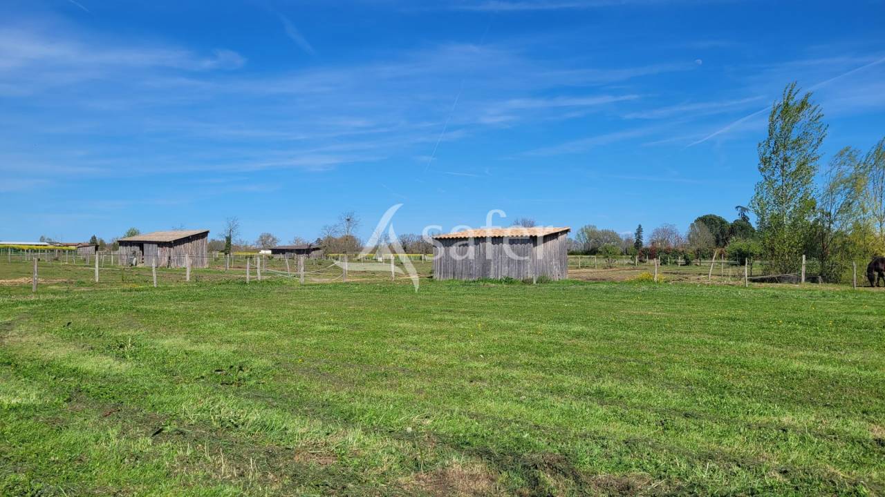 Hippisch vastgoed Koop tarn