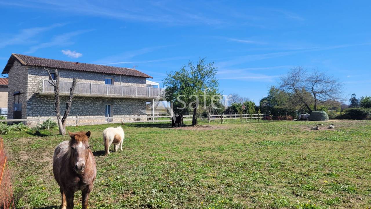 Hippisch vastgoed Koop tarn