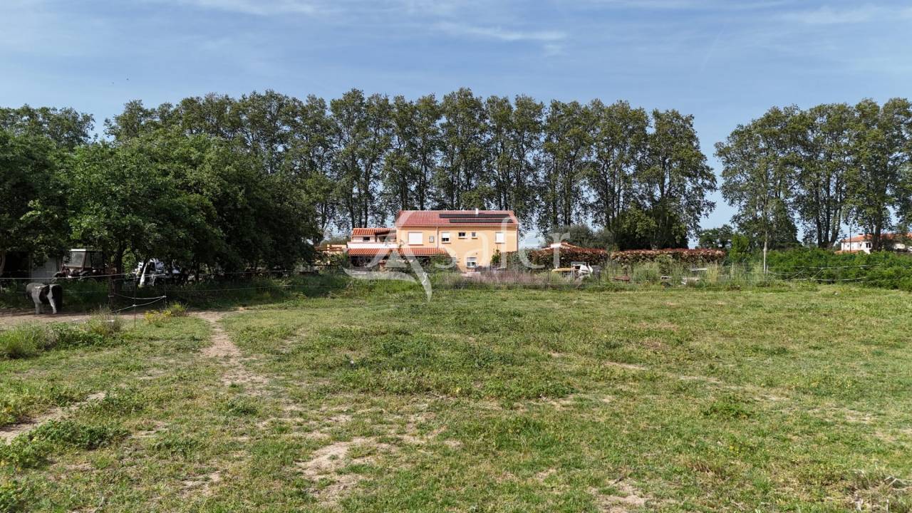 Hippisch vastgoed Koop Pyr&eacute;n&eacute;es-Orientales