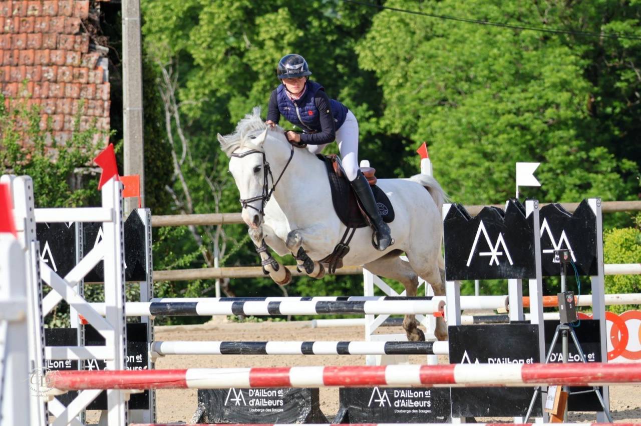 Ruin Franse rijpony PFS Te leen 2017 Schimmel