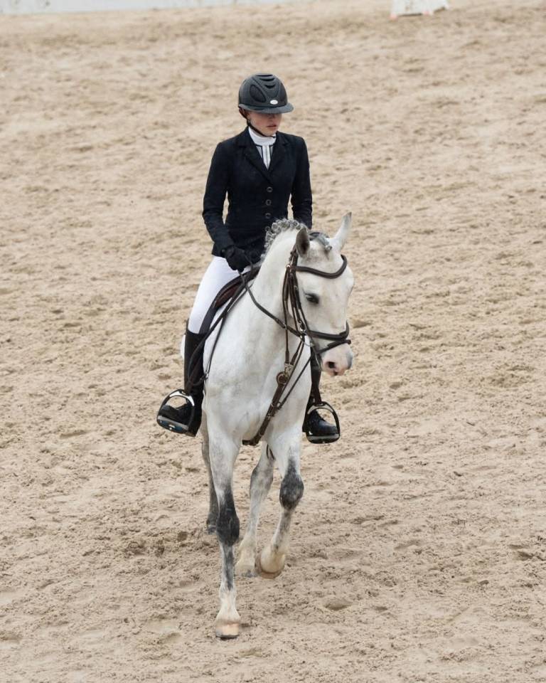 Ruin Franse rijpony PFS Te leen 2017 Schimmel