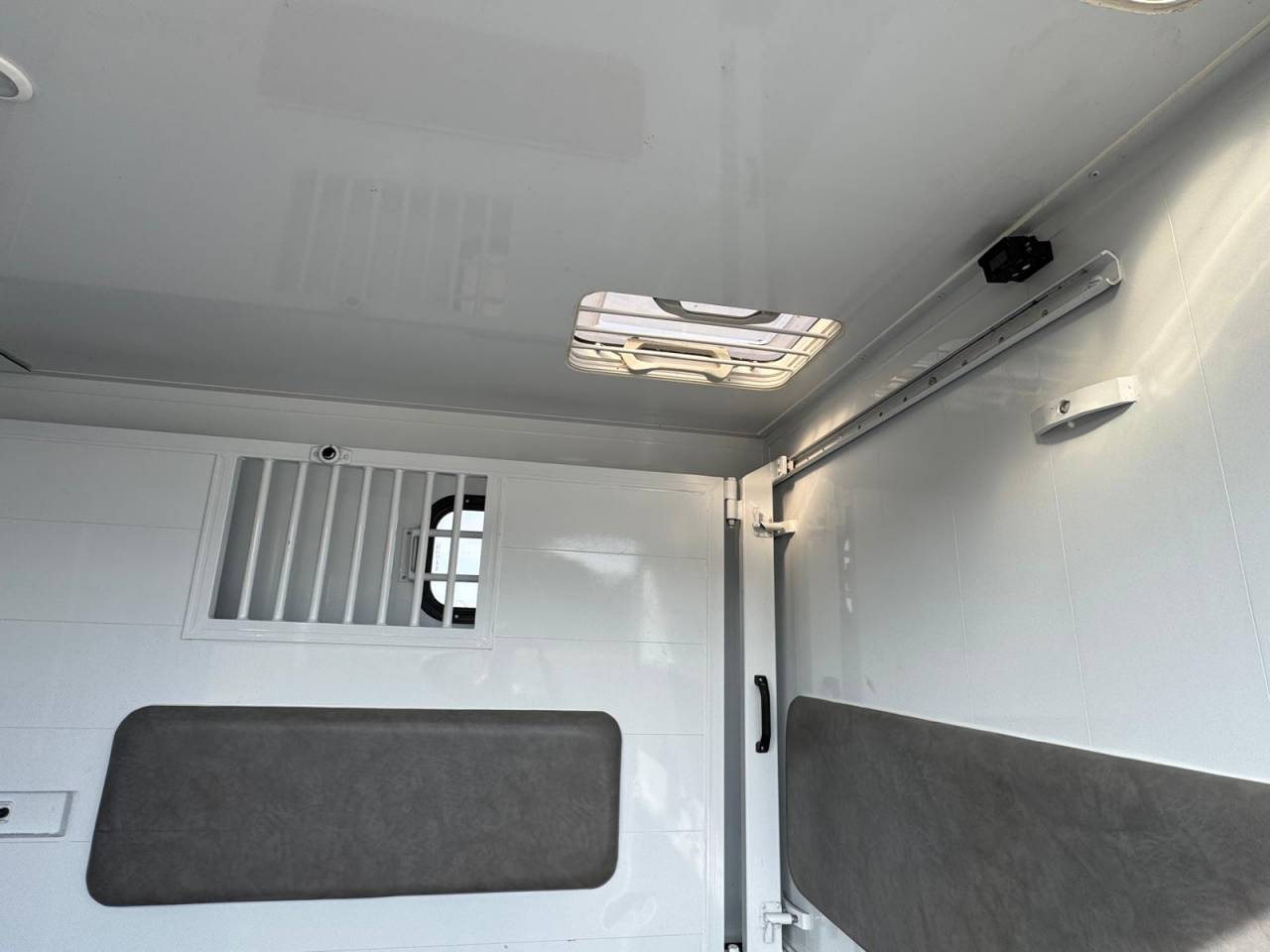 Kleine paardenvrachtwagen (B rijbewijs) TBST RENAULT MASTER 2023 Tweedehands